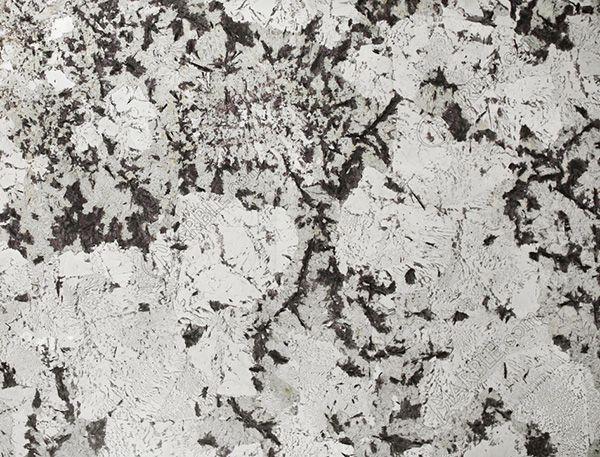 Delicatus White